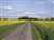 IMGP2456_redigerad-1.jpg